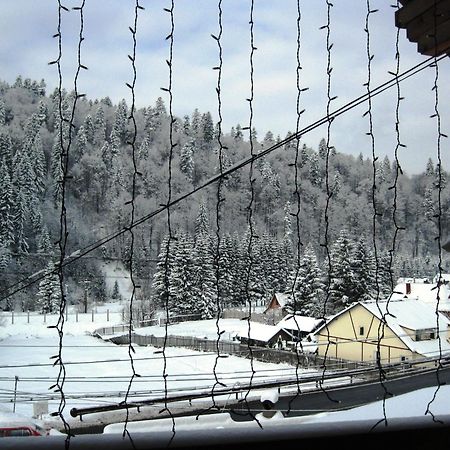 Vila Vitalis Predeal Bagian luar foto