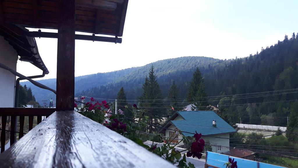 Vila Vitalis Predeal Bagian luar foto